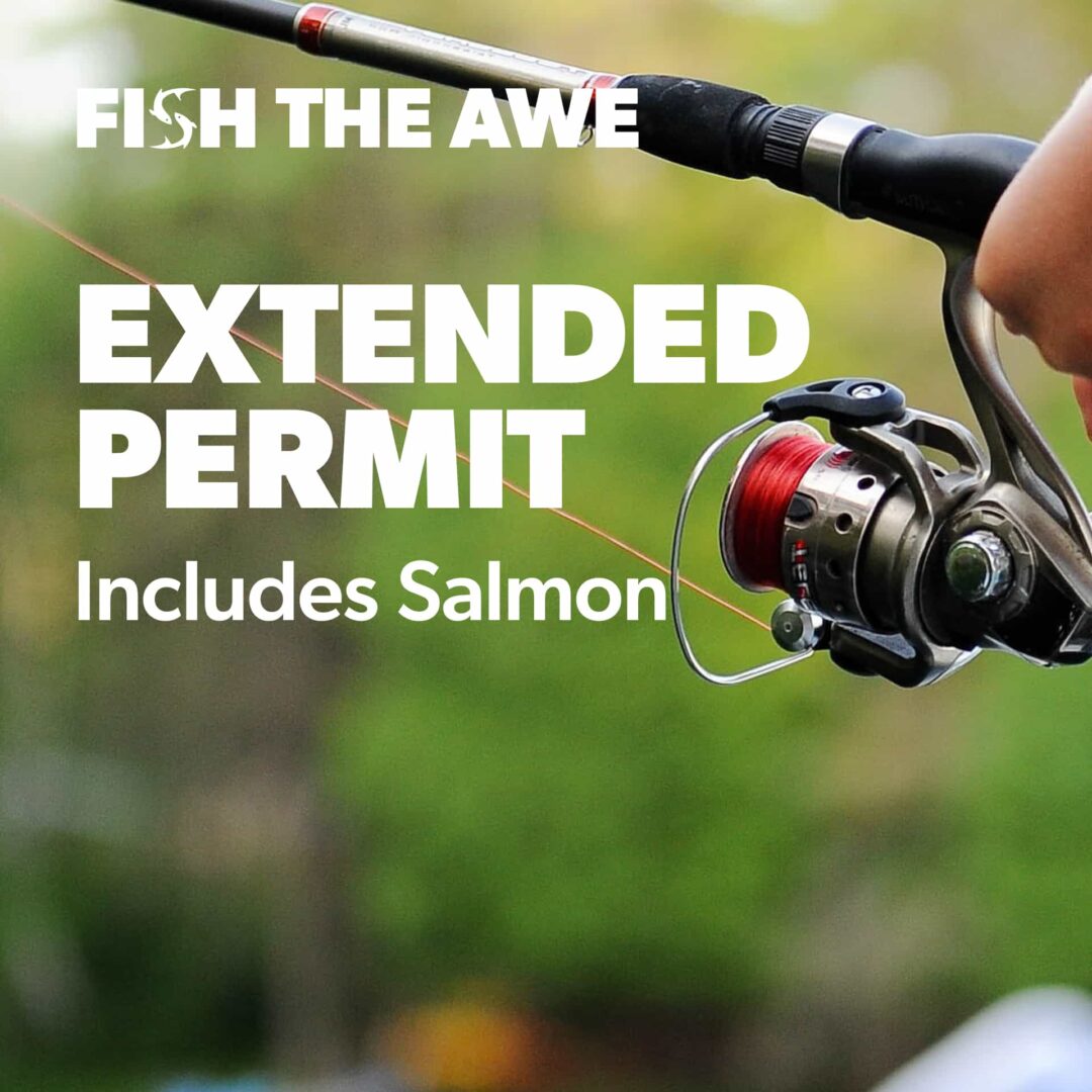 Extended permit