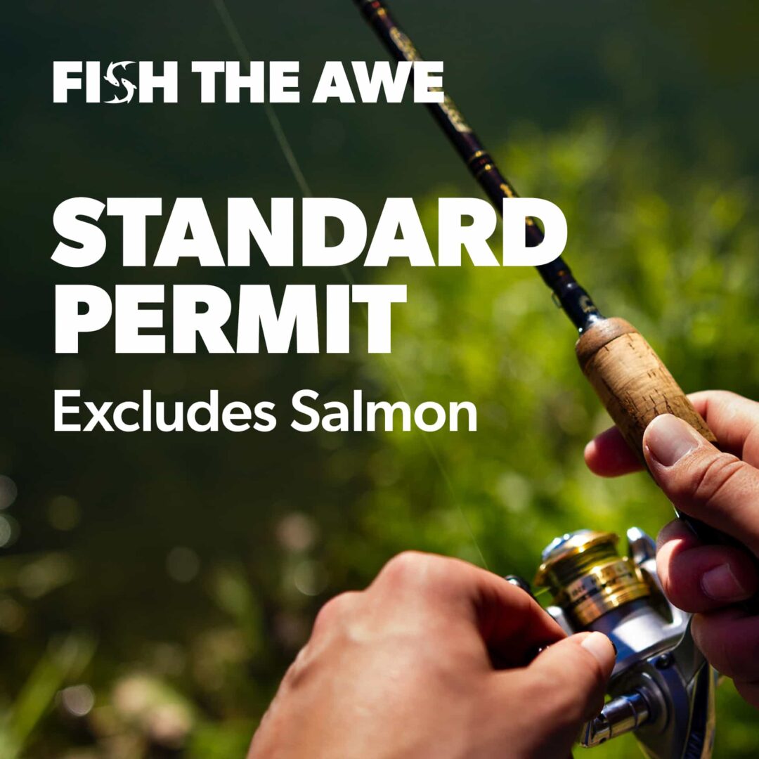 Standard permit